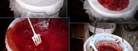 вино из терновника. Шаг 4