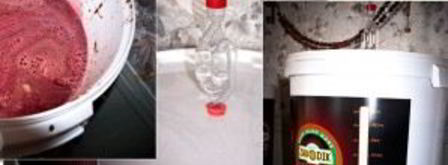 вино из терновника. Шаг 5