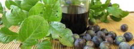 вино из терновника. Шаг 7