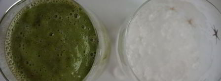 зеленый коктейль антиоксидант. Шаг 5