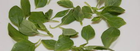 салат из помидоров. Шаг 3