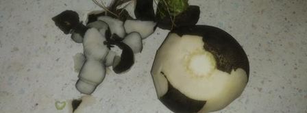 салат из редьки с мясом. Шаг 2