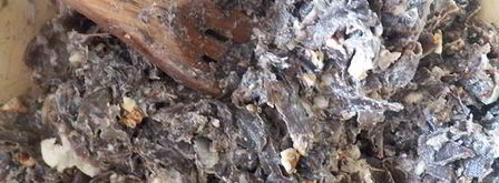 салат из сушеной баклажановой кожуры. Шаг 14