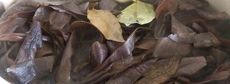 салат из сушеной баклажановой кожуры. Шаг 10