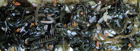 салат под шубой вегетарианский. Шаг 7