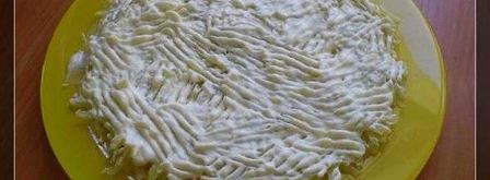 салат сельдь под шубой. Шаг 9