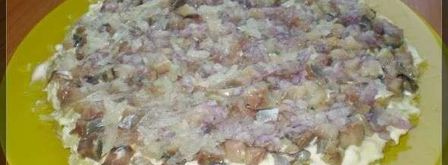 салат сельдь под шубой. Шаг 13