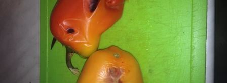 салат с печеными баклажанами и перцем. Шаг 3