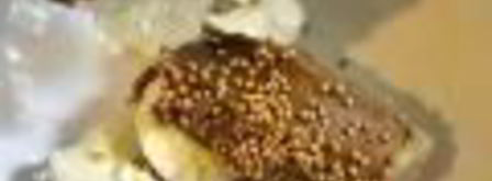 салат цезарь с курицей и грибами. Шаг 4