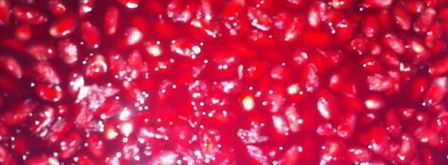 гранатовый соус наршараб. Шаг 4