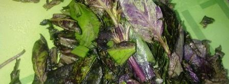 соус из базилика и рукколы. Шаг 3