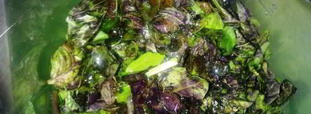 соус из базилика и рукколы. Шаг 4