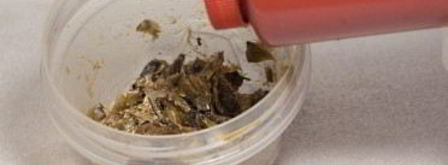 тайский рыбный соус. Шаг 3