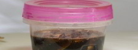 тайский рыбный соус. Шаг 5