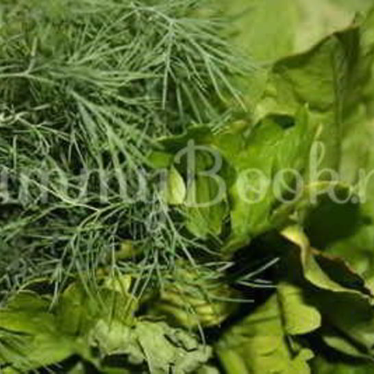 Рецепт борща летнего щавелевого