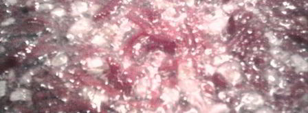 борщ в горшочках. Шаг 3