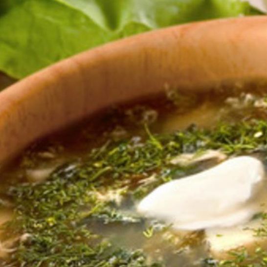 Рецепт борща зеленого с крапивой