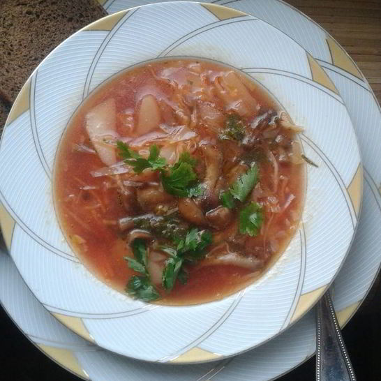 Рецепт постного борща с опятами