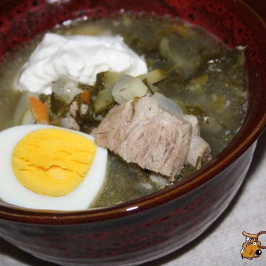 Рецепт зеленого борща со щавлем и маринованными огурцами