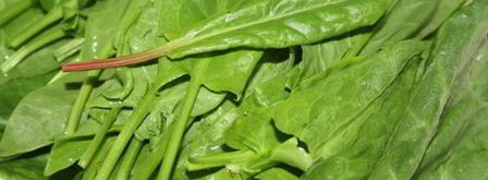 зеленый борщ со щавлем и маринованными огурцами. Шаг 4