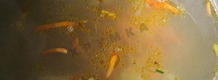 куриный бульон с лапшой. Шаг 17