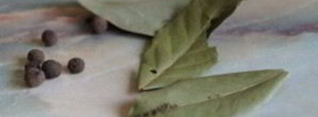 грибной суп из подберезовиков. Шаг 6