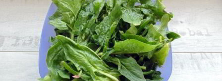 крем-суп из шпината. Шаг 13