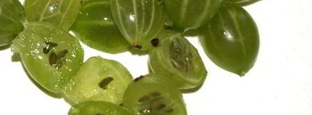 фруктово-ягодная окрошка. Шаг 2