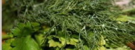 окрошка с квасом и кефиром. Шаг 2