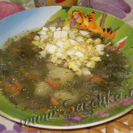 Рецепт щавелевого супа