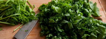 классические щи из молодого щавеля. Шаг 3