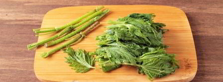 щи из крапивы с яйцом. Шаг 7