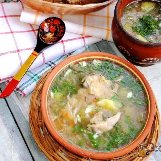 Рецепт щей из квашеной капусты в мультиварке