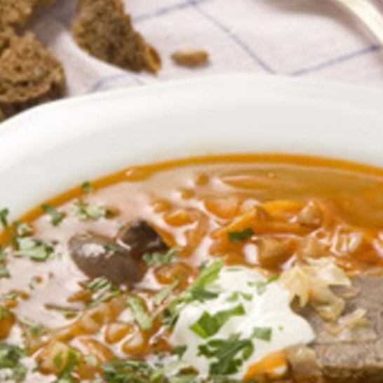 Рецепт щей из оленины с грибами