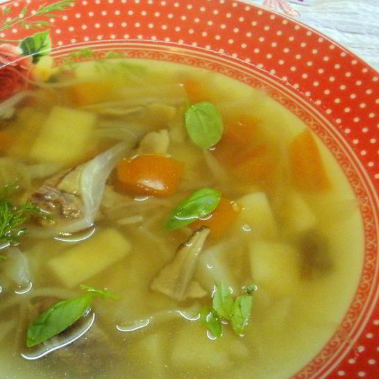 Рецепт щей на говяжьем бульоне