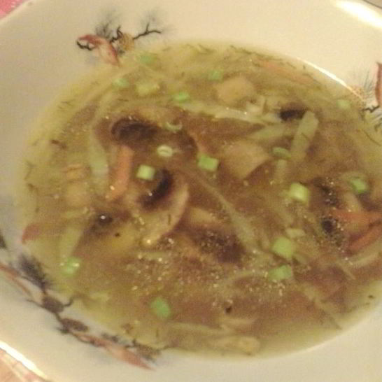 Рецепт щей со свежей капустой и грибами