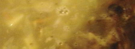 щи со свежей капустой и грибами. Шаг 5