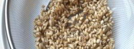 уральские щи с перловой крупой. Шаг 3