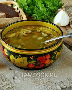 Зеленые щи из кисленицы