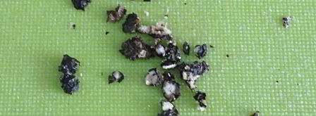 зеленые щи из кисленицы. Шаг 14