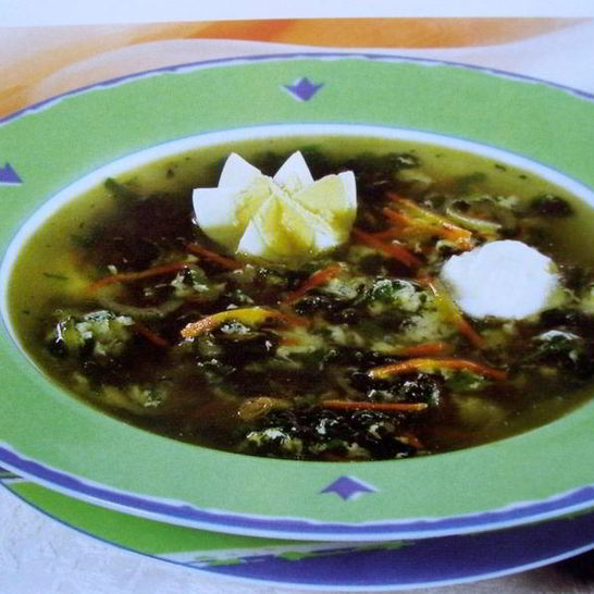 Рецепт зеленых щей в мультиварке