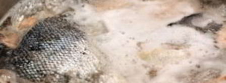 солянка без мяса. Шаг 2