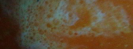 суп-пюре из тыквы с фрикадельками. Шаг 7