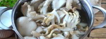 суп-пюре из вешенок. Шаг 3