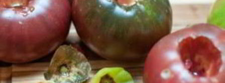 томатный суп-пюре итальянский. Шаг 2