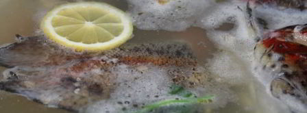 суп с форелью и морским окунем. Шаг 2