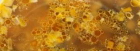 суп с лесными грибами. Шаг 11