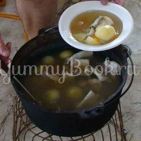 Рецепт ухи двойной по-рязански