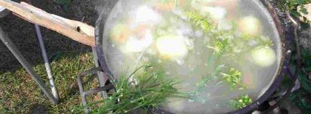 уха двойная по-рязански. Шаг 42