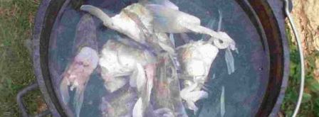 уха двойная по-рязански. Шаг 24